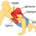 Какие мышцы работают при отжимании