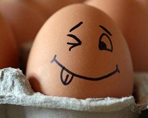 яичная диета магги